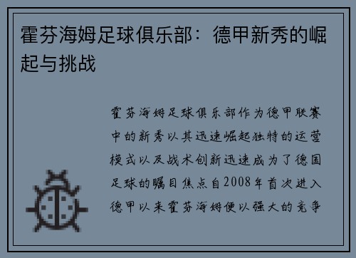 霍芬海姆足球俱乐部：德甲新秀的崛起与挑战