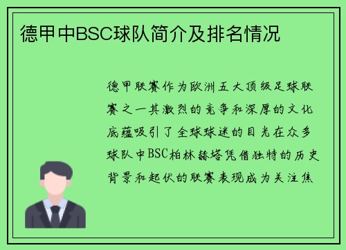 德甲中BSC球队简介及排名情况