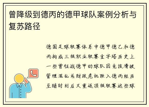 曾降级到德丙的德甲球队案例分析与复苏路径